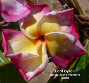 Lord Byron thumbnail