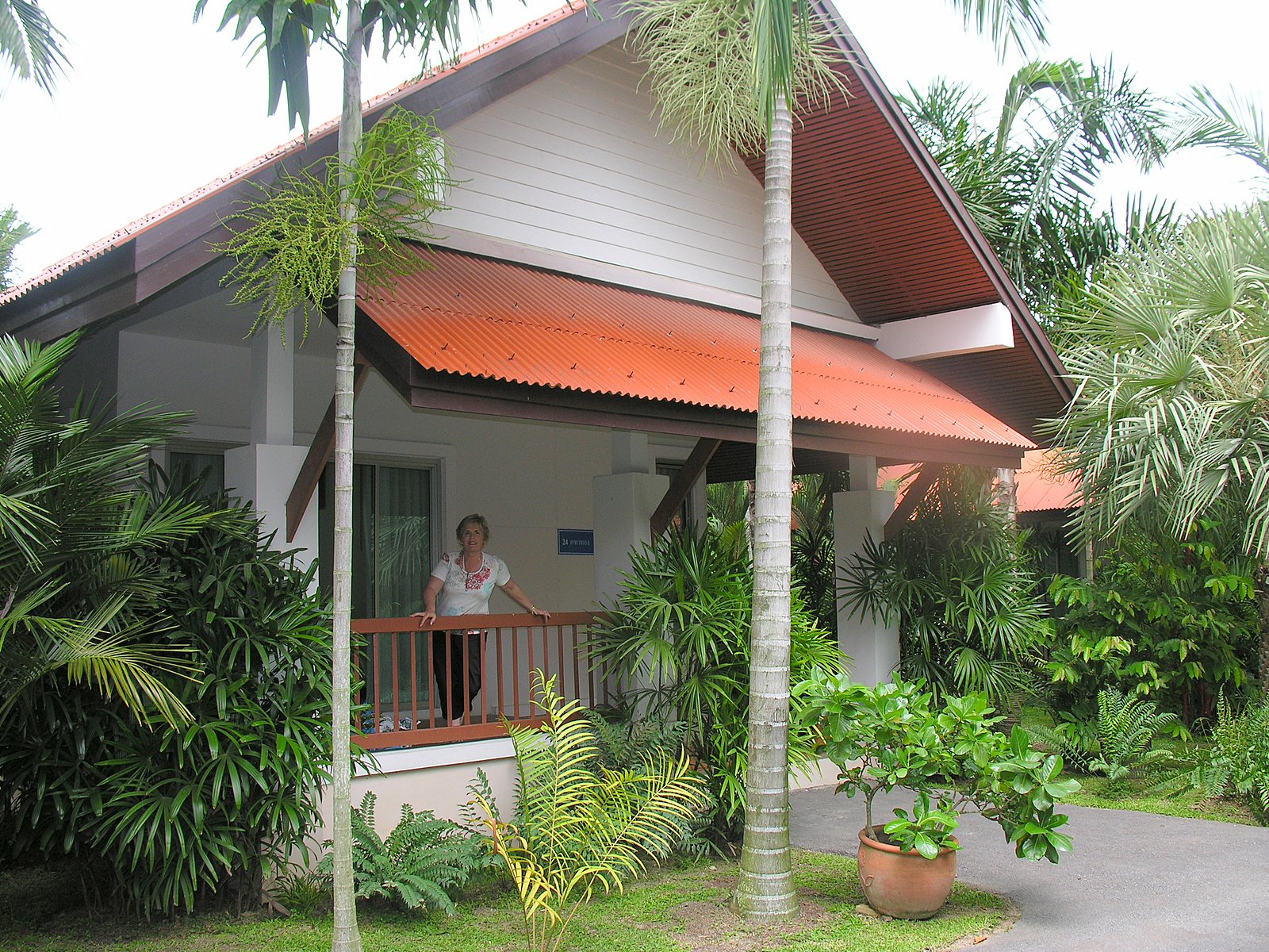 Pattaya plumeria photo