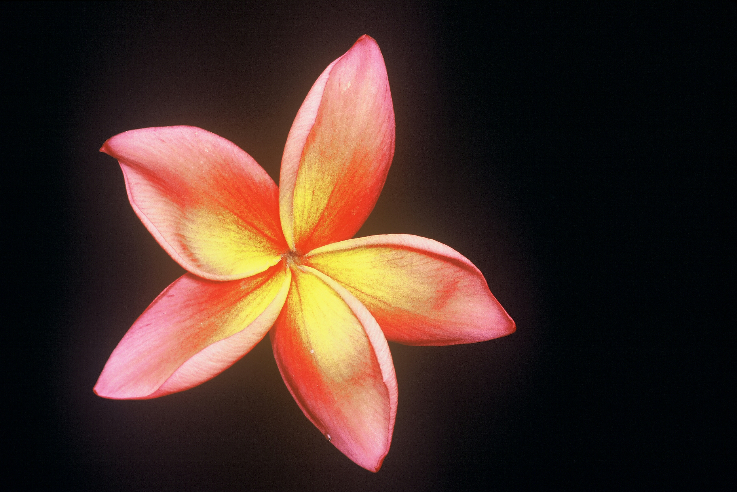 Jeannie Moragne